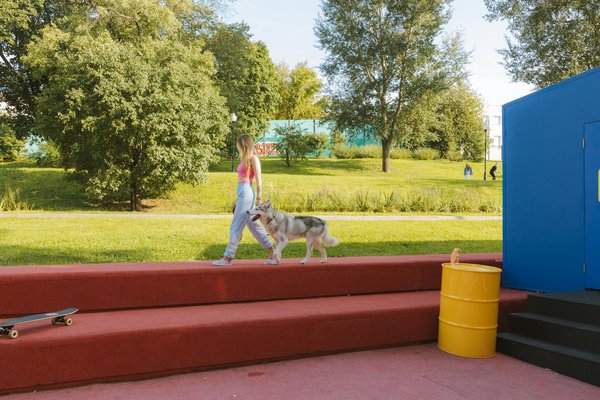 Les races de chiens françaises les plus populaires